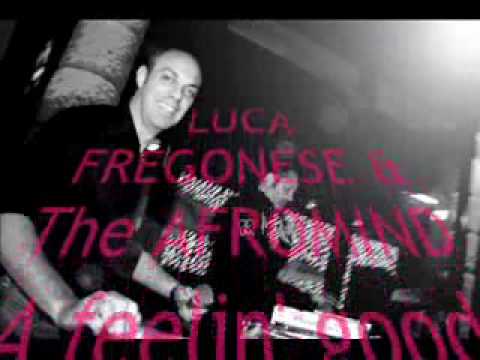 LUCA FREGONESE & The AFROMIND A feelin' good Original Mix.wmv
