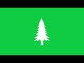 Mountain Trees In Black Color Animation Green Screen