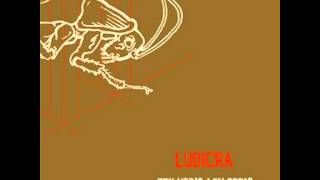 Ludicra - In Fever