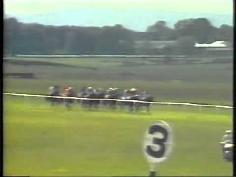 Horse Racing 1985 Irish Derby Curragh Law Society