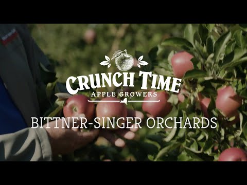 Bittner Singer Orchards - short documentary