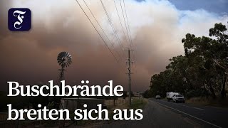 Hitzewelle in Australien facht Buschbrände an
