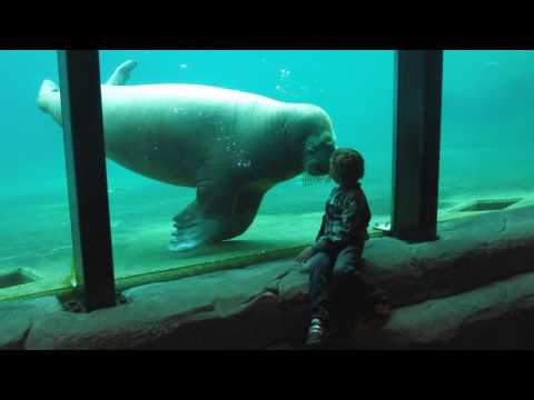 Nuestro - Underwater (Axxound Remix)