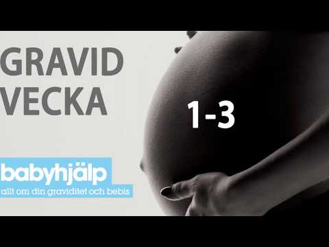 Gravid vecka 1-3