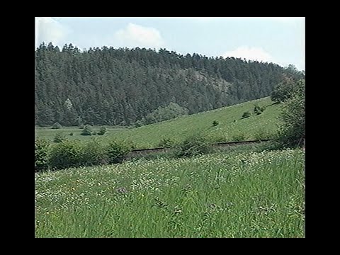 Reisewege zur Kunst – Thüringer Wald