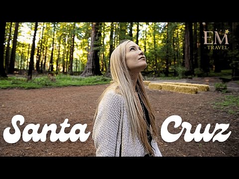Santa Cruz, California: A City of Contrasts | Vibepedia