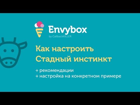 Видеообзор Envybox
