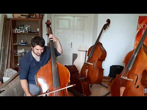 Celomasivní 5-strunný kontrabas, model Bucur