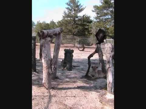 Hanging out @ Single Vision!