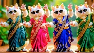  🤣🤣🐾️Cat Videos Funny Dance💃कैटडांस 😻😺Baile de Gatos #funnycat #dancingcat  #TanzendeKatze, #cattok