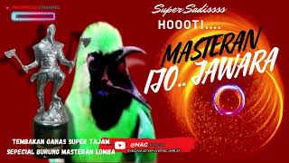 Download lagu masteran cucak ijo full tembakan kasar Burung Juara@mackicau mp3 Download lagu masteran cucak ijo full tembakan kasar Burung Juara@mackicau mp3