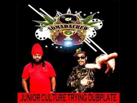 Junior Culture -Trying- Dubplate For Johshanty 2017
