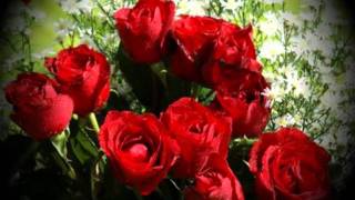 Companheira da Noite --- Roberta Miranda