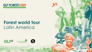 Forest world tour: Latin America
