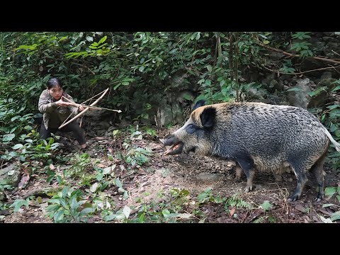 Crossbow Hunting Wild Boar and Building a Fireplace to Survive Winter, survival alone