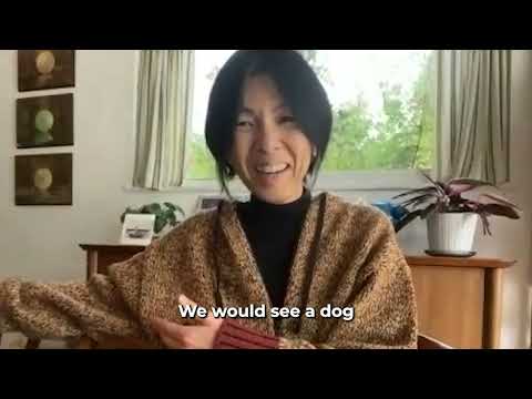 Homeschool by LAY LO: Dog training with world-class experts video.