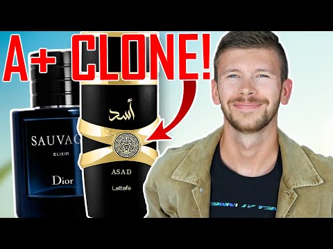 Lattafa Asad Fragrance Review - Dior Sauvage Elixir for $27!