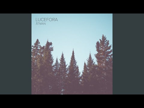 La Danza De La Catañas