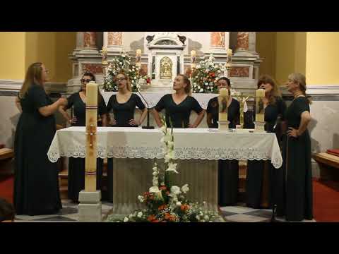 Klapa Žuljanke - Dojdi dragi u dvoru sam sama