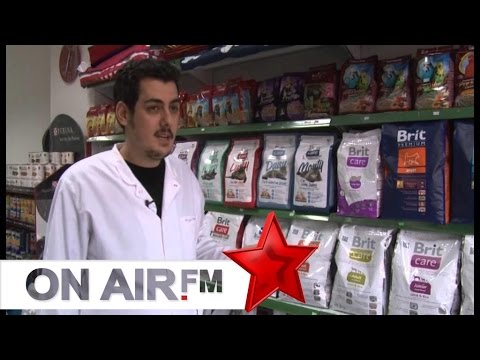 Kujdesi Shëndetsor ndaj kafshëve - Argjend Ukmata