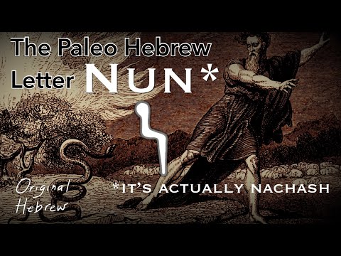 14. Nun | Paleo Hebrew Alphabet | The Bronze Serpent, a Revealing Map, Noah Finds Grace, and more