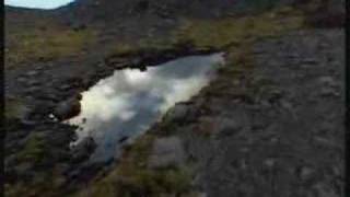 Afro Celt Sound System - Persistence of Memory (alt mix)