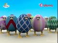 Egg Birds Sea Lion