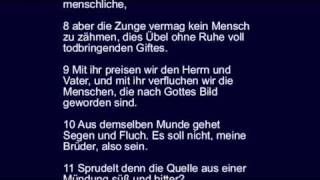Jakobus 3 - der Lehrerberuf, Verfehlungen der Zunge, Weisheit von oben.