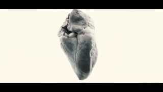 Create to Inspire - Counting Days (Official Video)