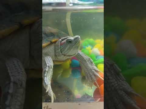 Teri aankhon mein | Viral videos of 2020 | Fun on trending songs