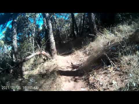 Yellow Track 2021 0905