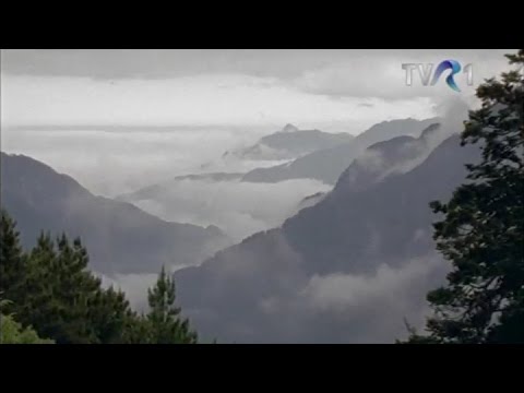 Teleenciclopedia: Ecosisteme - Insula Taiwan (lectura - Lucia Mureşan)