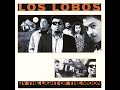 Los Lobos - River Of Fools (Instrumental)