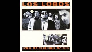 Los Lobos - River Of Fools (Instrumental)