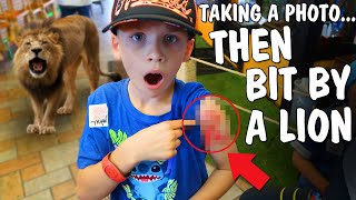 CHRIS GOT BIT BY A LION!! Cruise Excursion Gone Wrong!