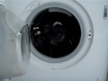 Gizmo In The Washing Machine