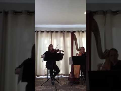 Promotional video thumbnail 4 for City Winds Flute and Harp  Duo