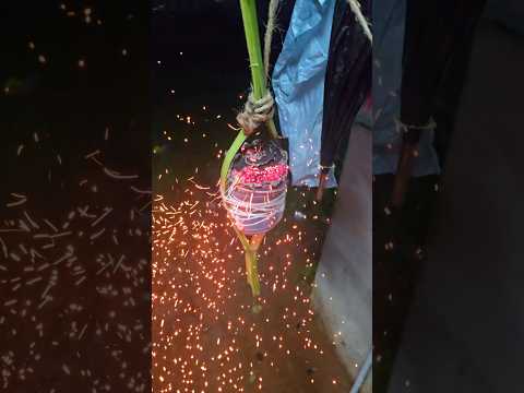 கார்த்திகை தீபம் ஸ்பெஷல் மாவாலி✨️#kavi #intersting #contentcreator #goodvibes #emotional #sujanact