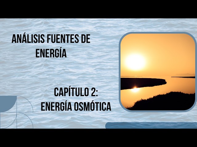 Vídeo relacionado con Extractos de mamuyo (Styrax ramirezii): Análisis fisicoquímicos de fruto y actividad antimicrobiana