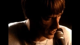 Amongst Butterflies｜Paul Weller