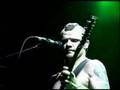 Flea - Pea 