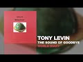 Tony Levin - The Sound Of Goodbye (World Diary, 1995)