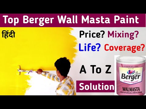 Berger Walmasta Antifungal Emulsion Paint for Exterior