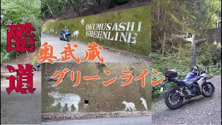 赤坂沢砂防の小便小僧と苔アート(feat 野良猫秘書）