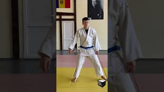 Download lagu Judo Ukemi mp3