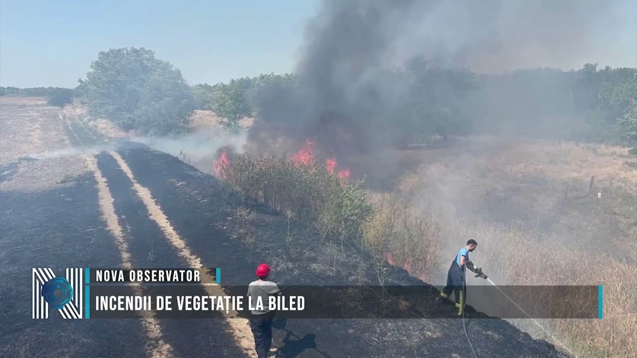 Incendii de vegetație la Biled