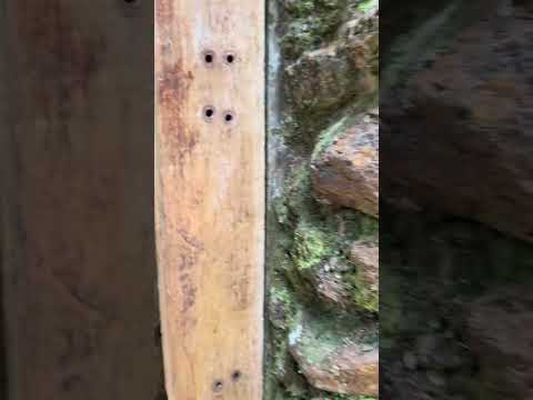 Fazenda região de Sidrolândia ficou marcada por uma história emocionante #douradosms #historia 