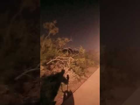 MC Franco Magdalene (The Street Catholic Of The Cross). Blood Shed For Me (Music video).