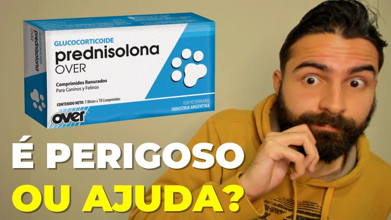 A Prednisolona Ajuda no Tratamento da FeLV?