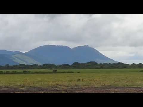  Guerra química Roraima 